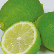 ライム