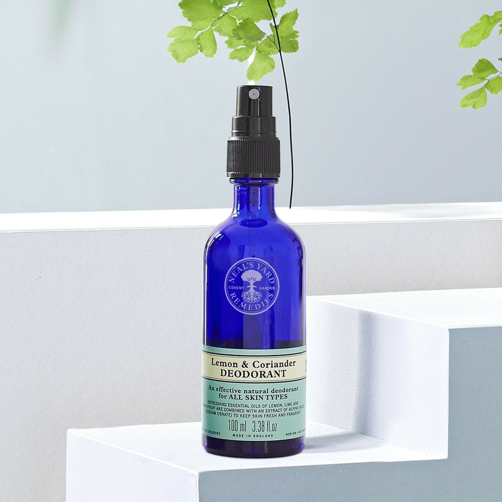 レモン＆コリアンダー デオスプレー | ニールズヤード レメディーズ