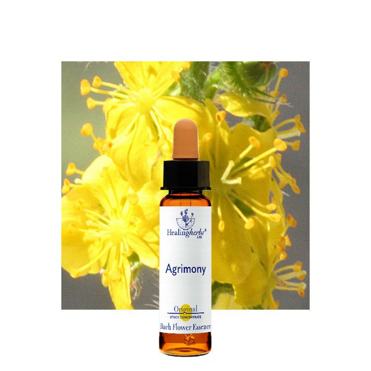 ヒーリングハーブスフラワーエッセンス | ニールズヤード レメディーズ