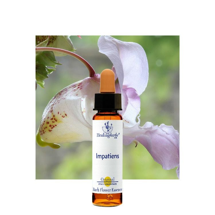 ヒーリングハーブスフラワーエッセンス | ニールズヤード レメディーズ