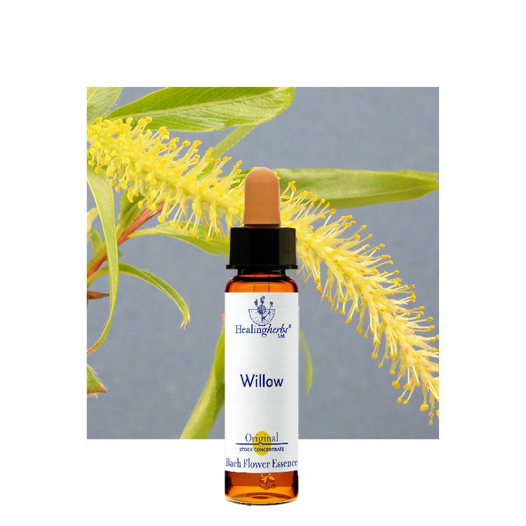 ヒーリングハーブスフラワーエッセンス | ニールズヤード レメディーズ