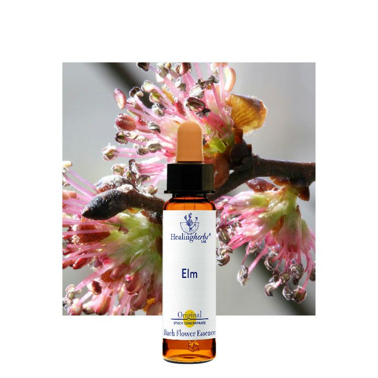 ヒーリングハーブスフラワーエッセンス | ニールズヤード レメディーズ