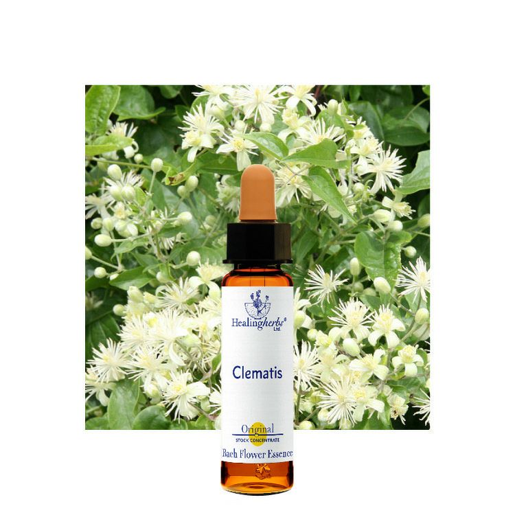 ヒーリングハーブスフラワーエッセンス | ニールズヤード レメディーズ