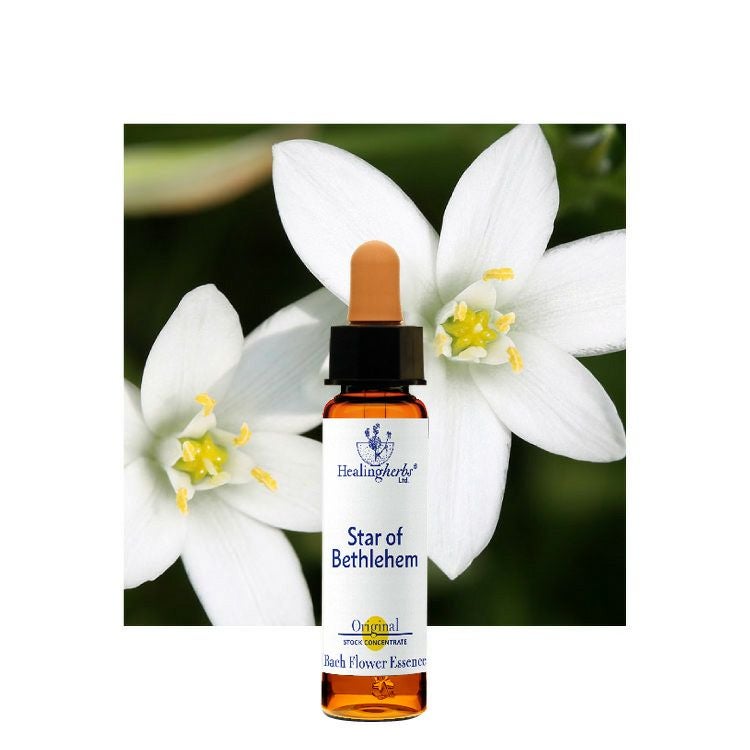 ヒーリングハーブスフラワーエッセンス | ニールズヤード レメディーズ