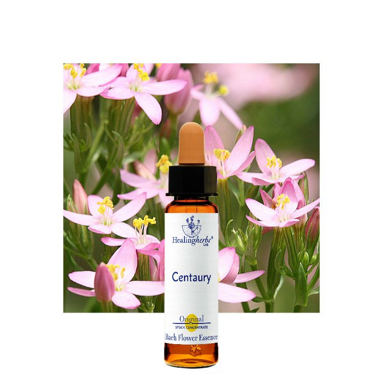 ヒーリングハーブスフラワーエッセンス | ニールズヤード レメディーズ