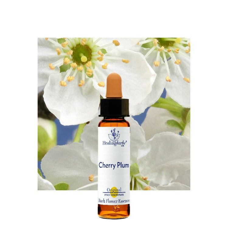 ヒーリングハーブスフラワーエッセンス | ニールズヤード レメディーズ