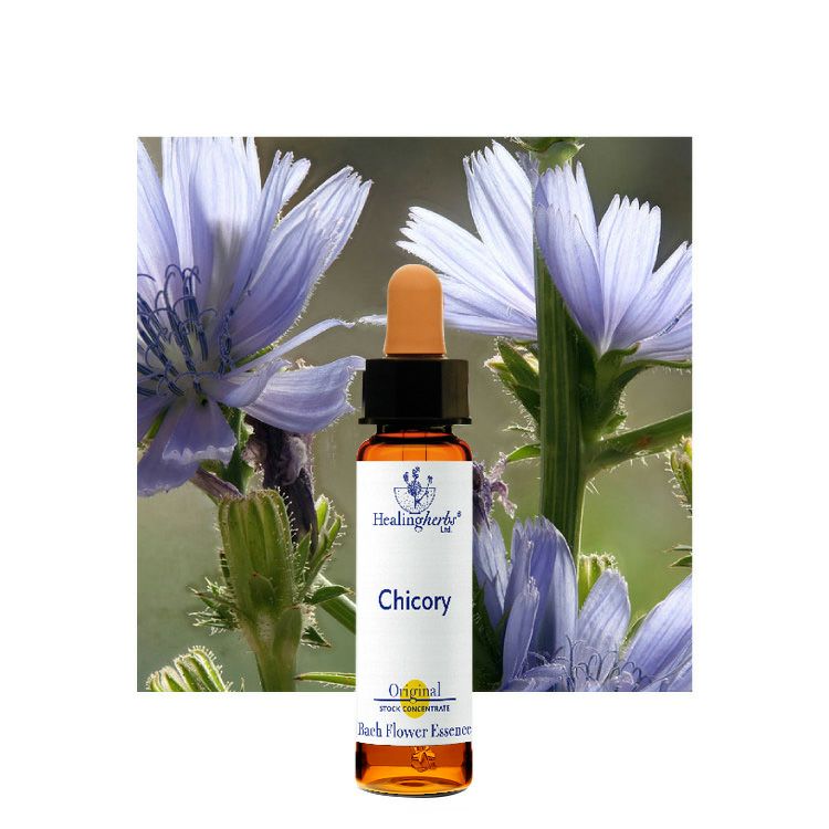 ヒーリングハーブスフラワーエッセンス | ニールズヤード レメディーズ