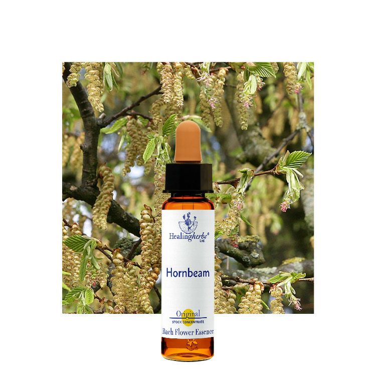 ヒーリングハーブスフラワーエッセンス | ニールズヤード レメディーズ