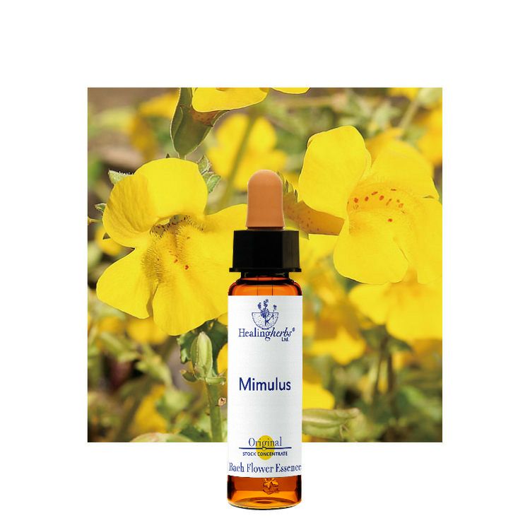 ヒーリングハーブスフラワーエッセンス | ニールズヤード レメディーズ
