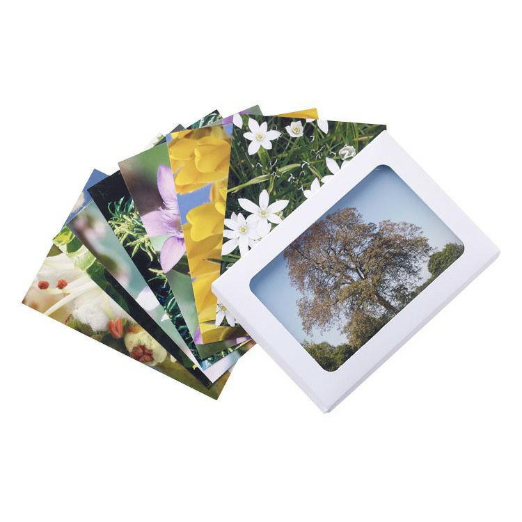 ヒーリングハーブフラワーカード | ニールズヤード レメディーズ 公式