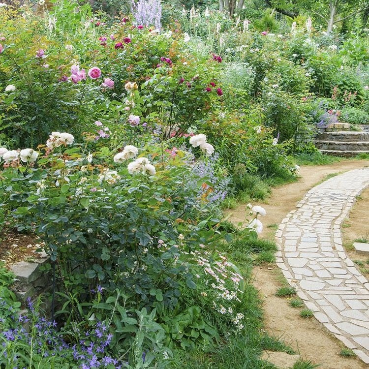 リードディフューザー バランシング 香りのイメージ